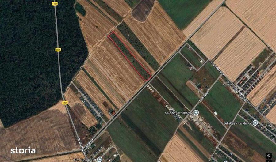 Teren de 6800 mp, în Săbăreni