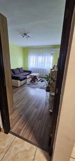 Garsonieră decomandată în Nufărul