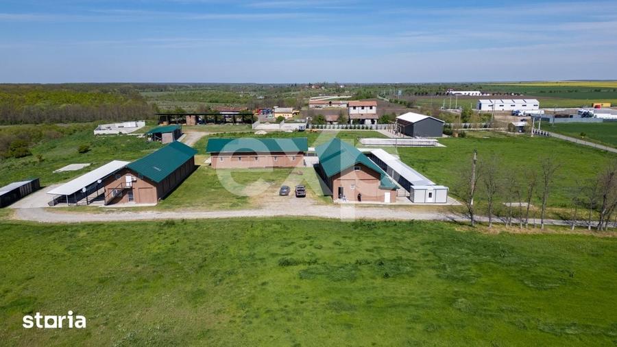 Teren de 105000 mp, în Singureni