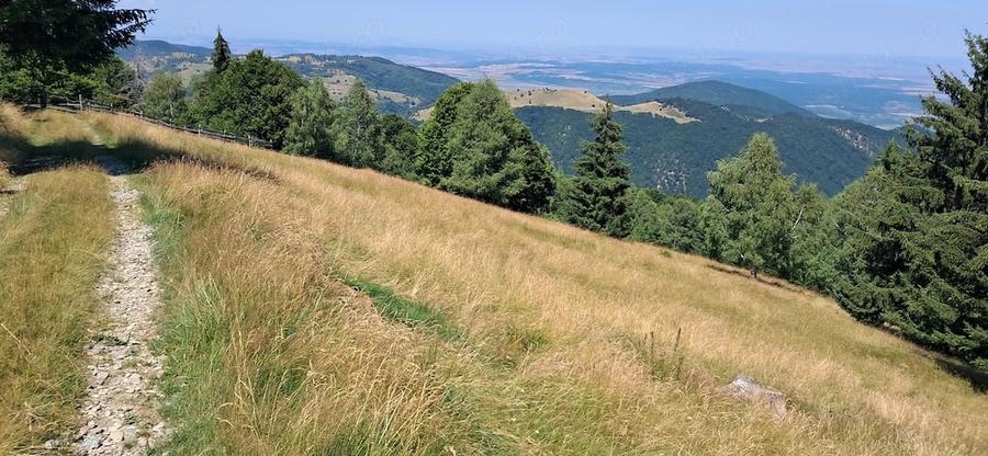 Teren de 1870 mp, în Paltin