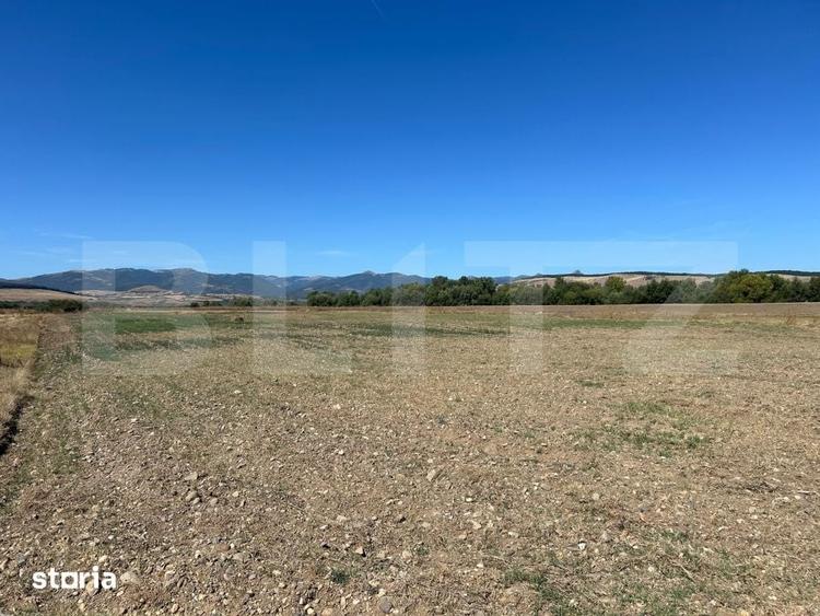 Teren agricol de vanzare, 5.000 mp, zona Barabant - 1