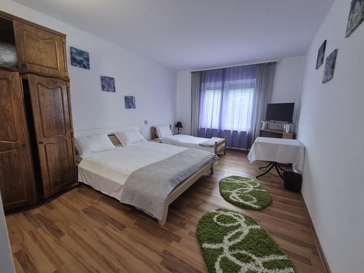 Casă individuală cu 10 camere cu Teren 1000 Mp în Arbore