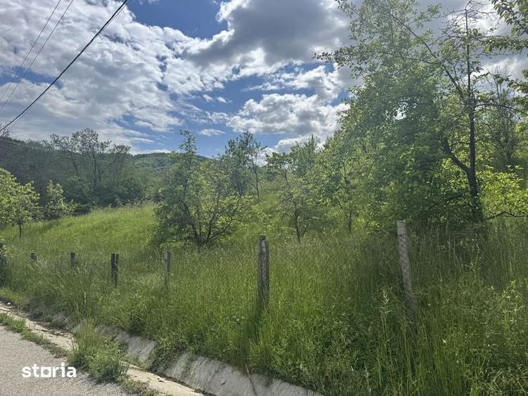 Teren de 1719 mp, în Văleni-Dâmbovița