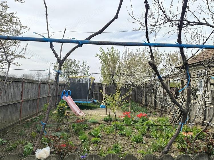 Casă cu 4 camere cu Teren 1500 Mp în Dârvari