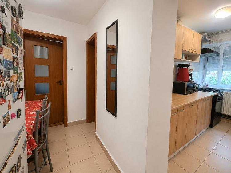 Apartament cu 2 camere, complet mobilat -zona Sagului Timișoara - 6