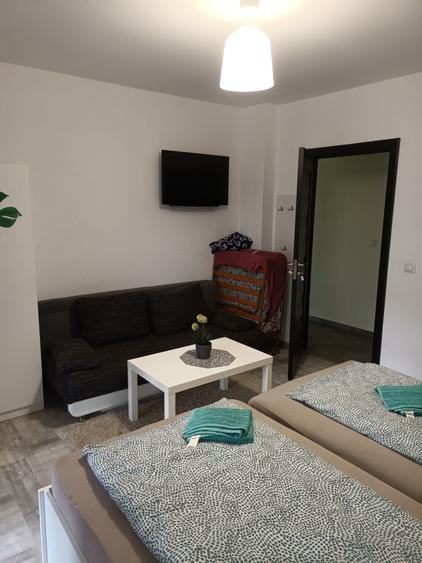 Apartament cu 2 camere decomandat în Crinț