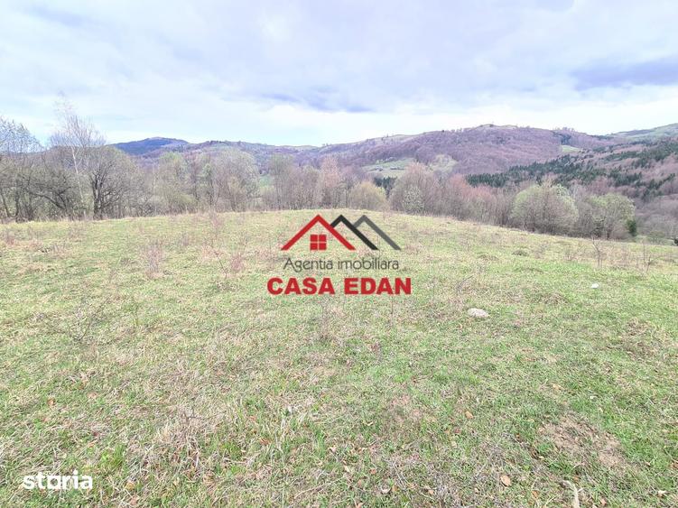 Teren de 20500 mp, în Valea Doftanei