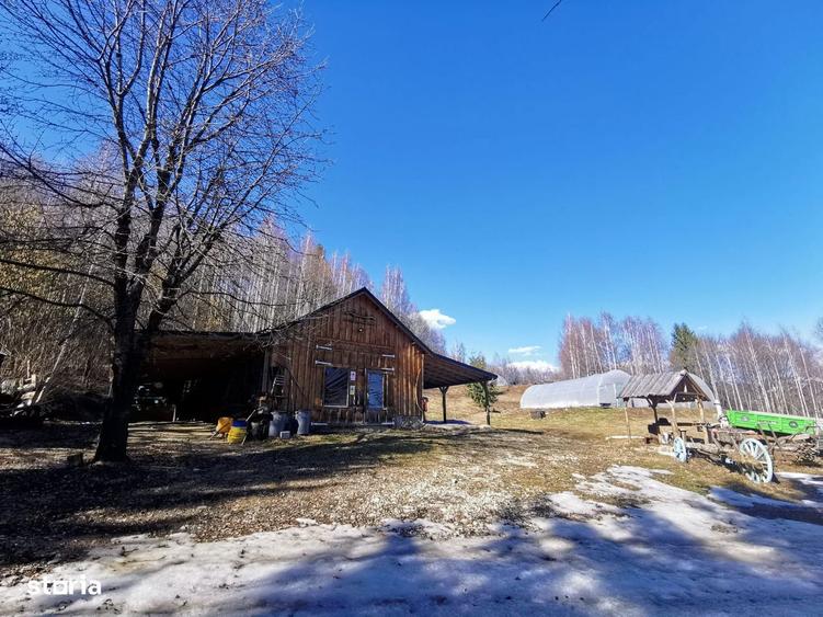 Casă cu 4 camere cu Teren 62000 Mp în Horea