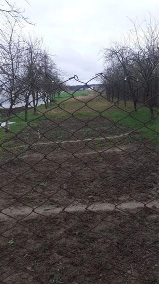 Casă cu 4 camere în Balotești