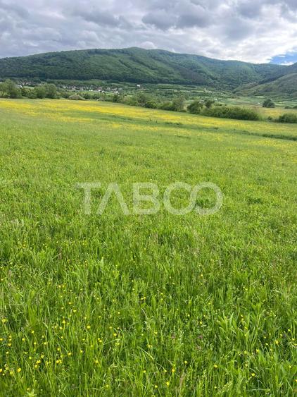 Teren agricol extravilan de 3600 mp, în Poplaca