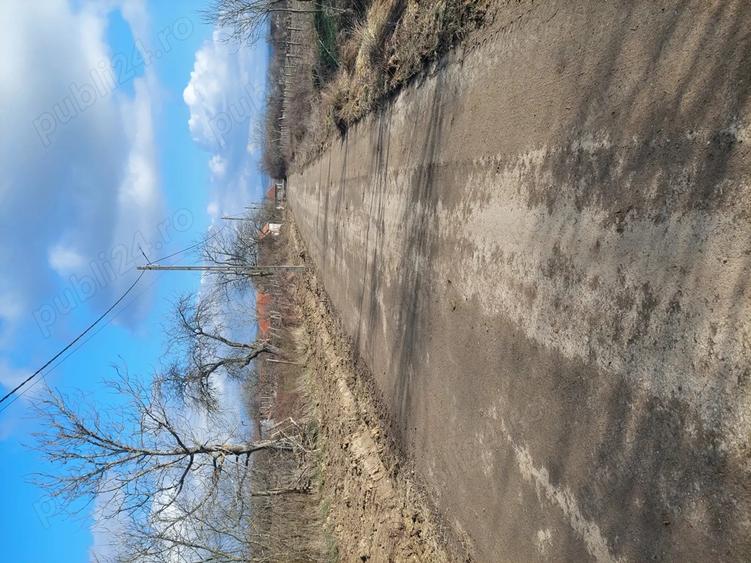 Teren de 2900 mp, în Fârliug