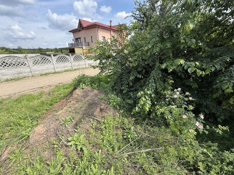 Teren Construcții intravilan de 498.01998901367 mp, în Tamași