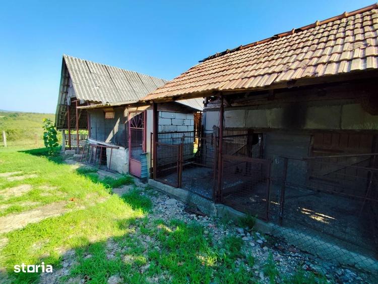 Casa la tara, Calea Mare, Bihor, teren mare, 2 intrari auto vanzare - 16