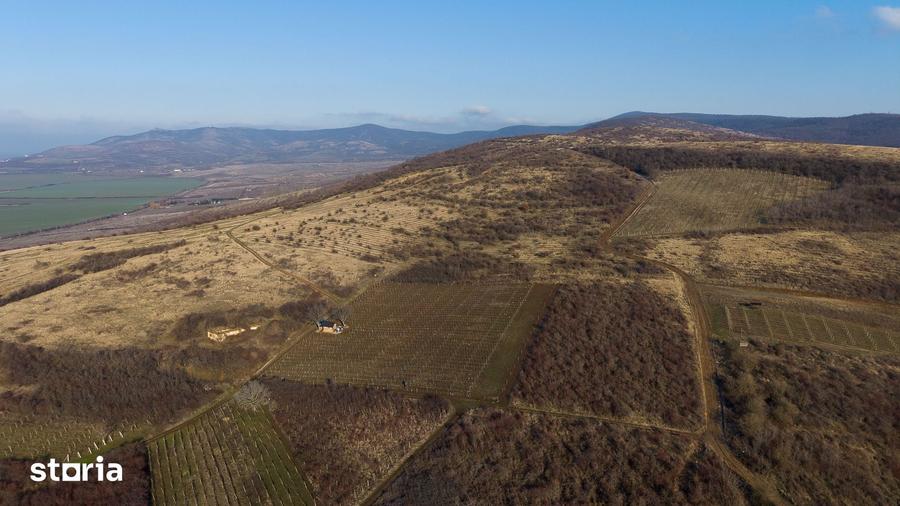 Teren de 6800 mp, în Covăsinț