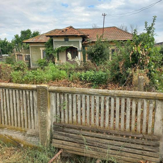 Casa Nenciule?ti - 4