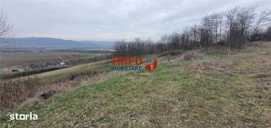 Teren de 5300 mp, în Ciugud