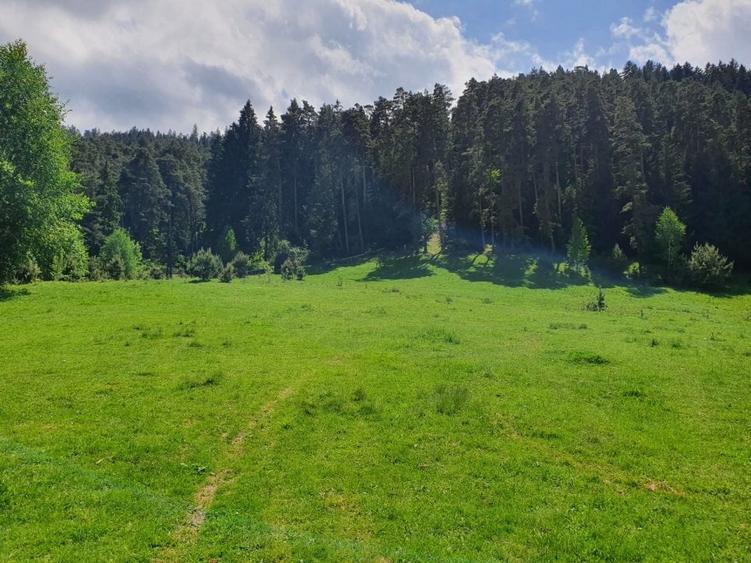 Teren Construcții intravilan de 5000 mp, în Săcele