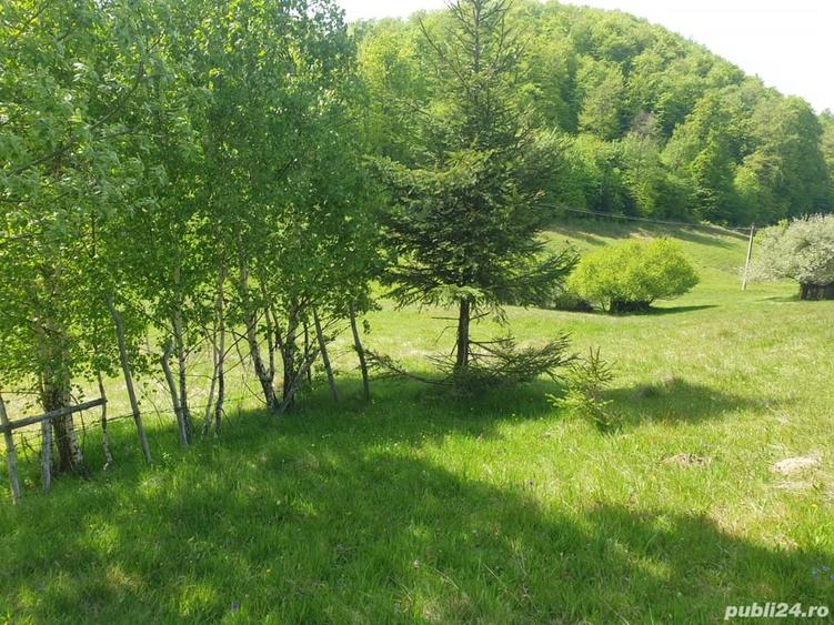 Teren de 1000 mp, în Dâmbovicioara