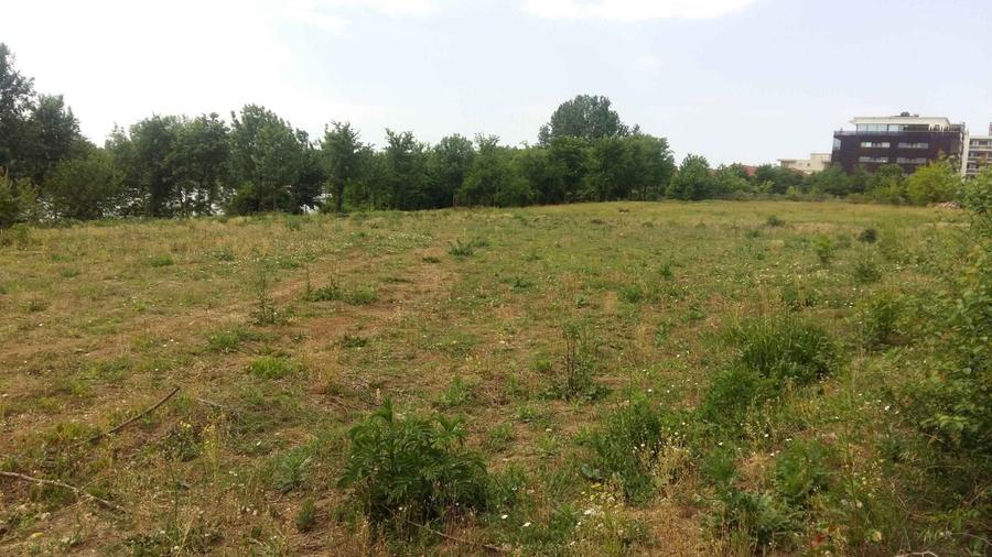 Teren Construcții intravilan de 6000 mp, în Dămăroaia
