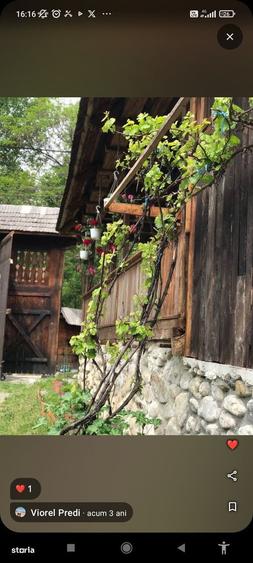 Vand proprietate la munte,poten?ial turistic.Zona Polovragi-Racovi?a - 12