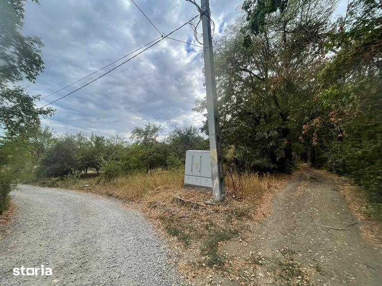 Teren intravilan de 1.125 mp la liziera Padurii Gheorghe Doja Oradea - 4