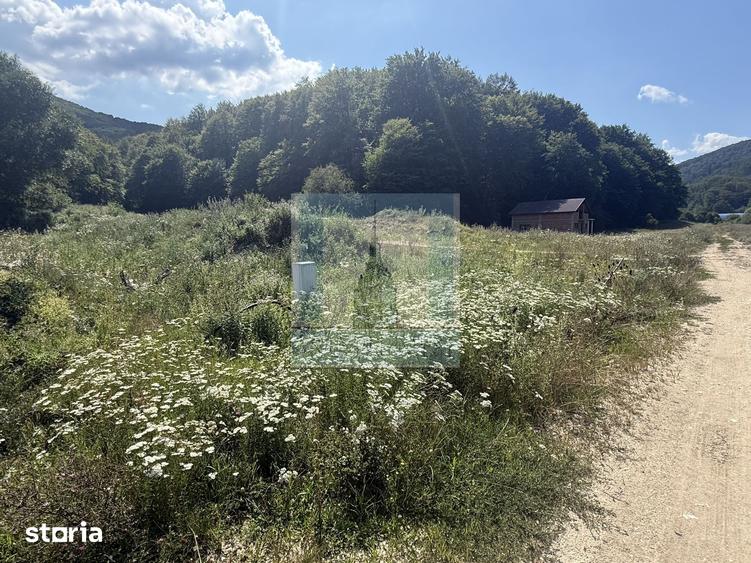 Teren de 500 mp, în Central