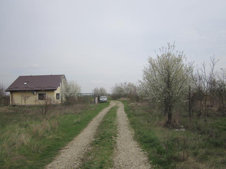 Teren Construcții intravilan de 646 mp, în Domnești