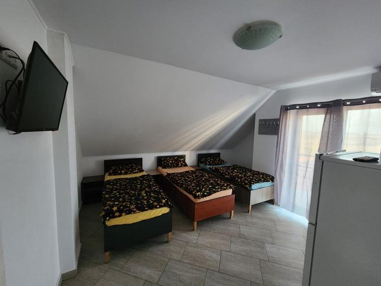 Casă individuală cu 5 camere cu Canalizare în Sânandrei