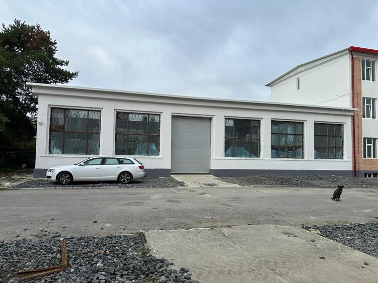 Spațiu industrial, de 10,321 mp, în Mârșa