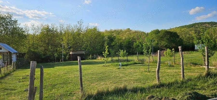 Teren de 400 mp, în Șiria