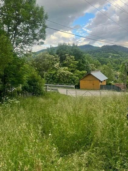Teren Construcții intravilan de 7426 mp, în Valea Doftanei