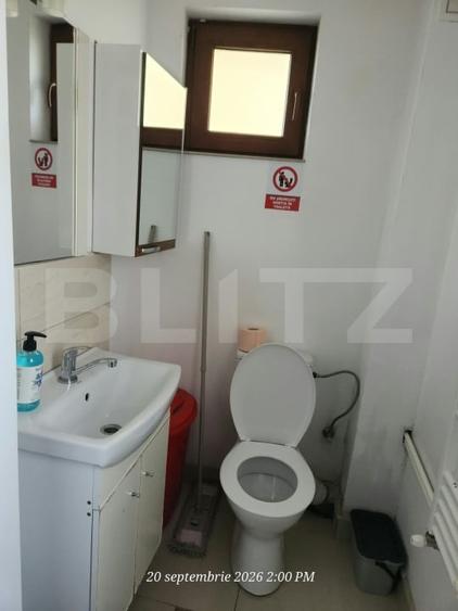 Casă individuală cu 7 camere cu Canalizare în Rovine