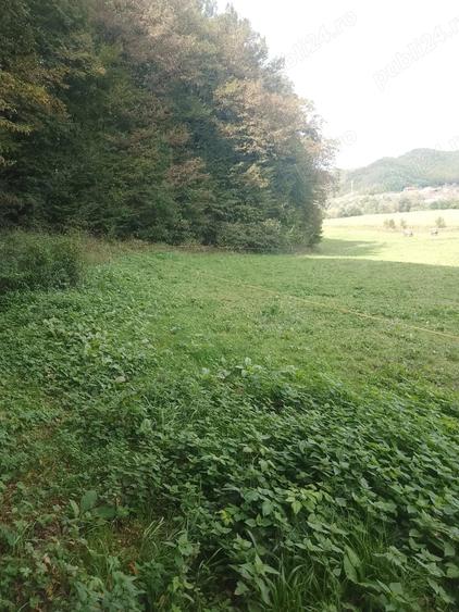 Teren de 5600 mp, în Nord