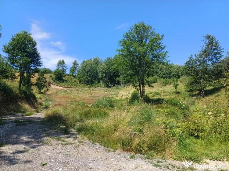 Teren de 4500 mp, în Brebu