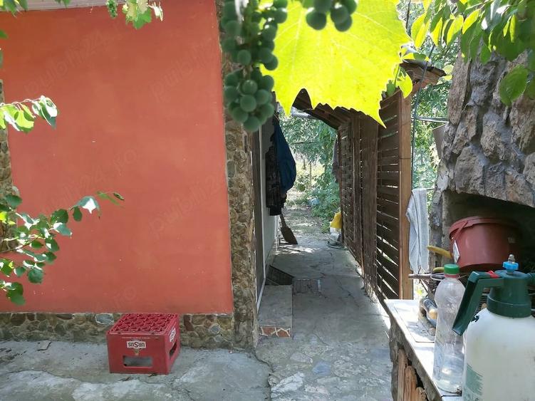 Casă cu 5 camere cu Teren 2000 Mp în Rogojeni