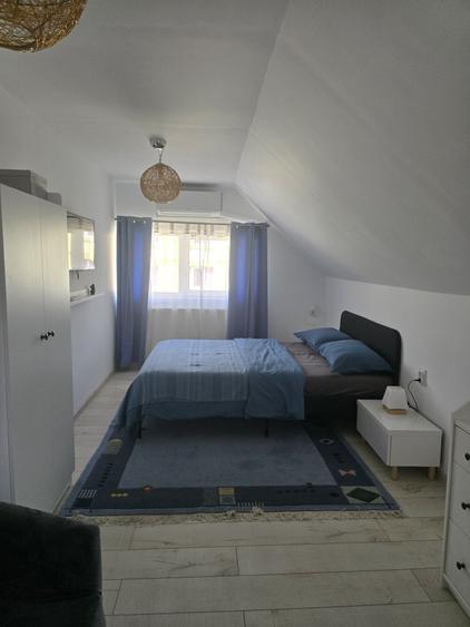 Hasdeu Apartament - proprietar - 8