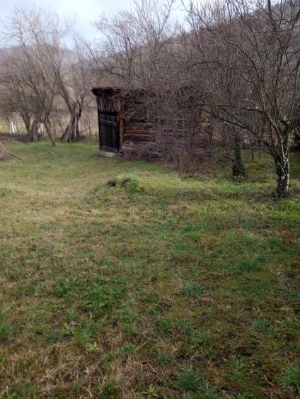 Vand Casa, Paulean jud.Arad - 2