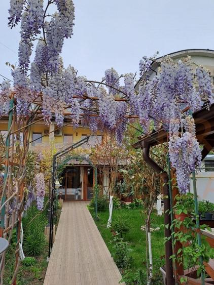 Duplex cu 5 camere cu Canalizare în Mamaia-Sat