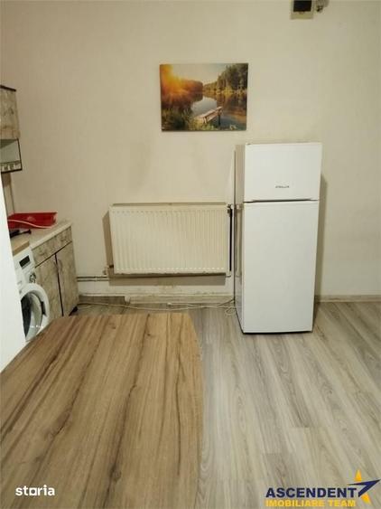 Garsoniera in vila, baie si bucatarie proprie, acces aproape independe - 14