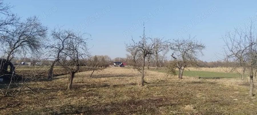 Casă cu Teren 5400 Mp în Central