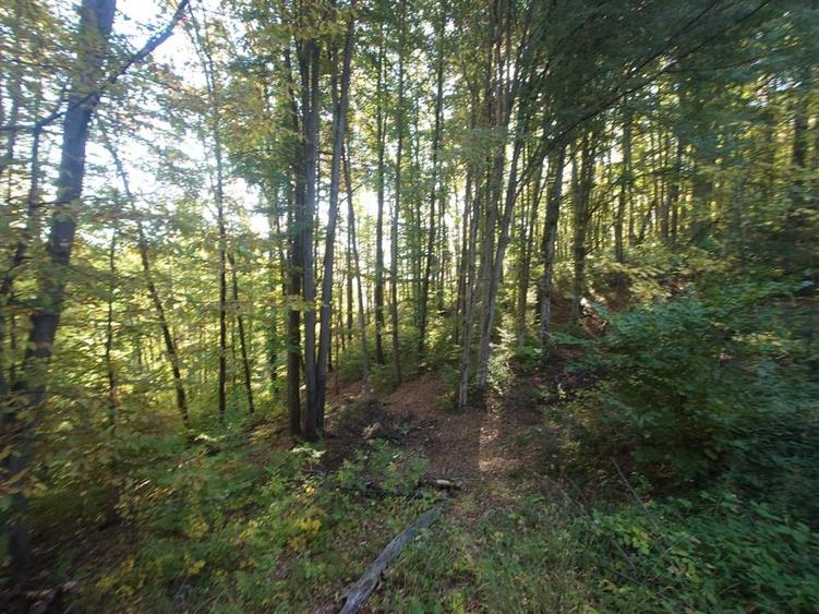 Teren extravilan de 36748 mp, în Căzănești