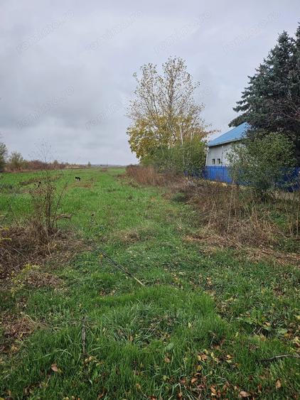 Teren de 18469 mp, în Butimanu