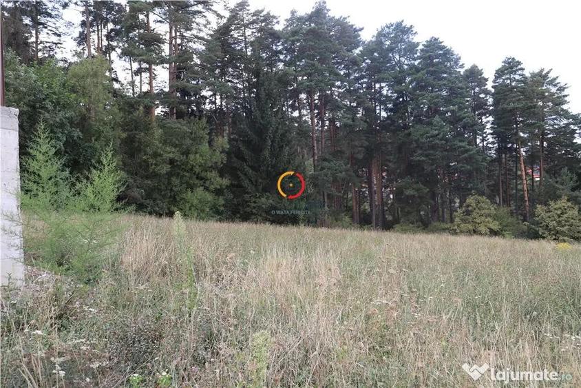 Teren de 1195 mp, în Poiana Angelescu