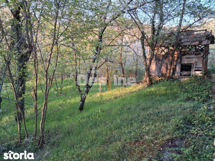 Casa batraneasca cu teren 1150 mp, vie si livada ?erbanesti, Paus - 8