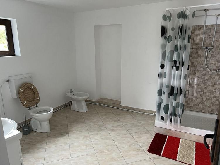 Apartament mobilat de inchiriat la cativa kilometri de Moinesti - 5
