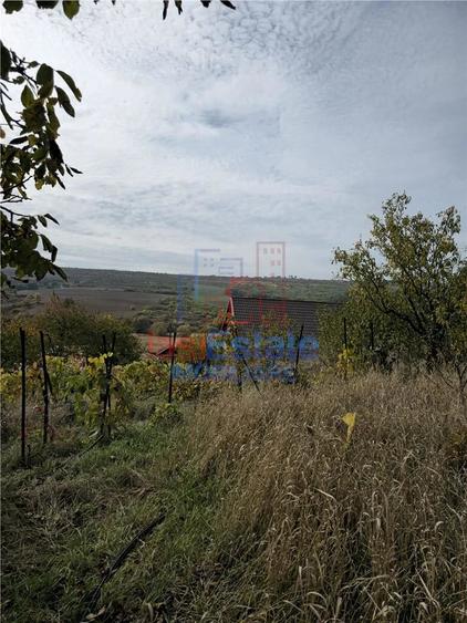 Casă cu 2 camere cu Teren 3841 Mp în Poiana (Schitu Duca)