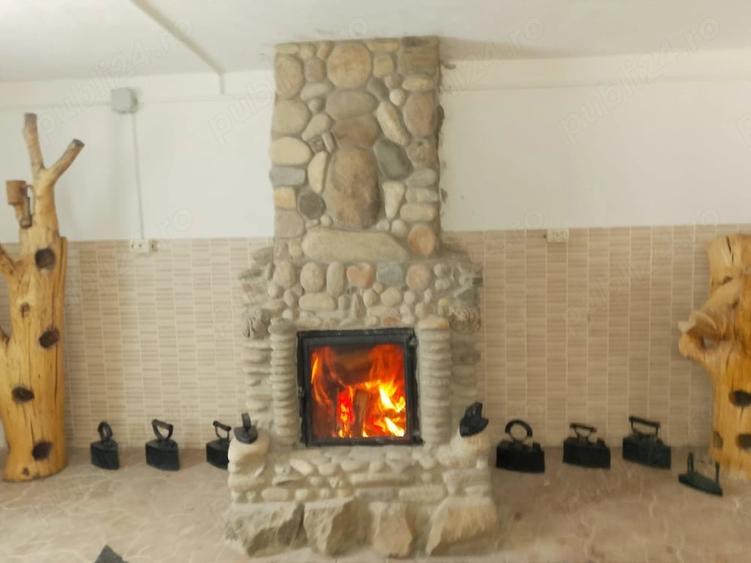 Casă cu Teren 13800 Mp în Obreja