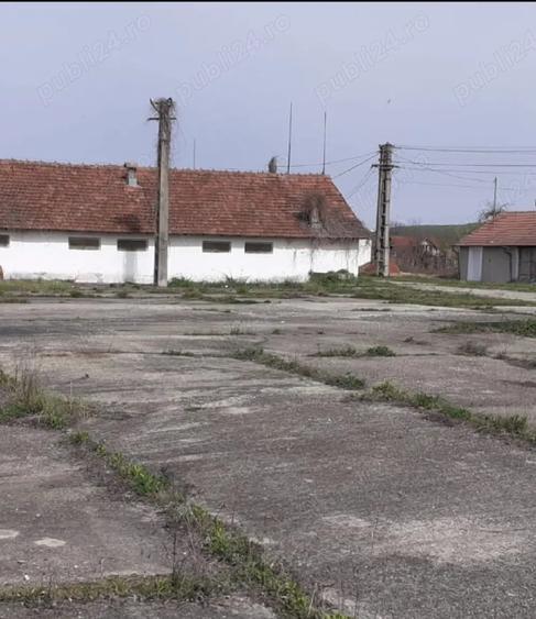 Spațiu comercial, de 4,500 mp, în Șirineasa