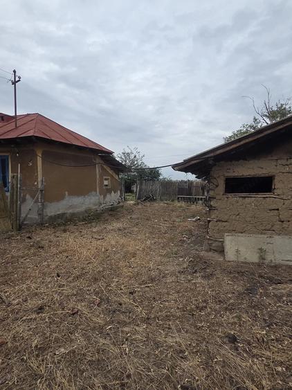 Casă cu Teren 4116 Mp în Mandra