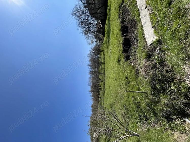 Teren de 2250 mp, în Aluniș